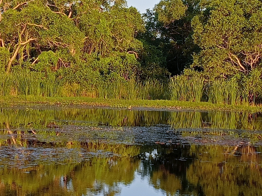 Kalametiya Bird Watching景点图片