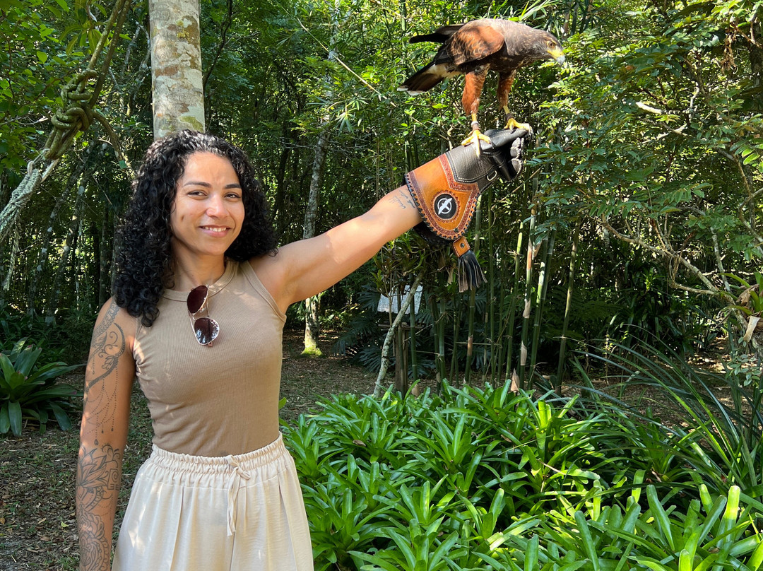 ArtFalcon Falcoaria-佩尼亚必去景点