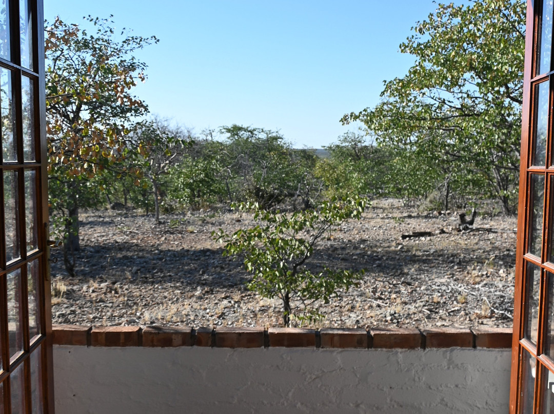埃托沙乡村酒店主图