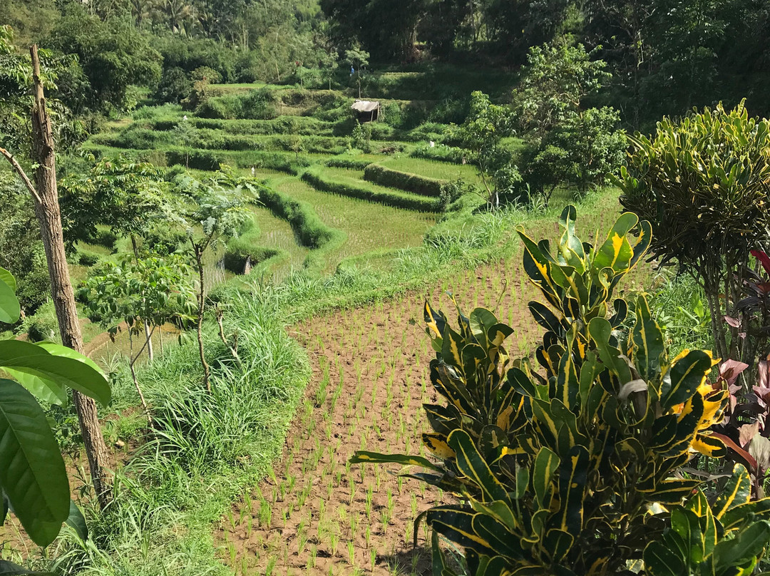 Tetebatu Indah Homestay主图