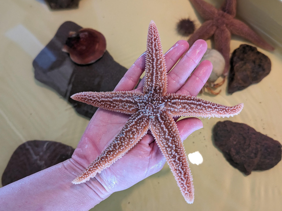 Huntsman Fundy Discovery Aquarium-Saint Andrews必去景点