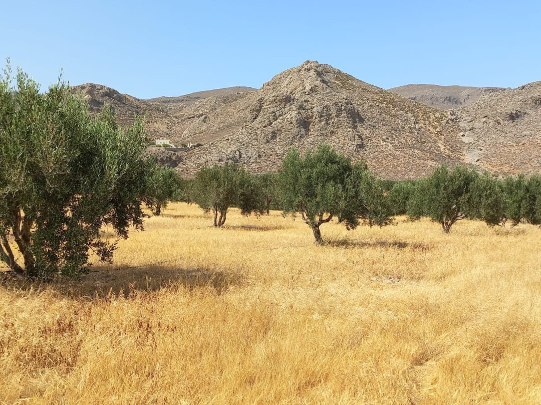 Best Crete Transfer-伊拉克利翁必去景点