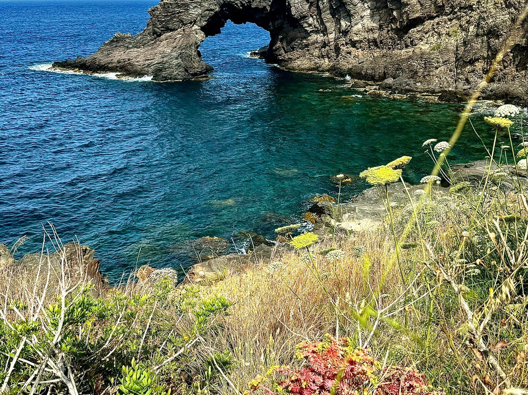 Arco dell'Elefante景点图片