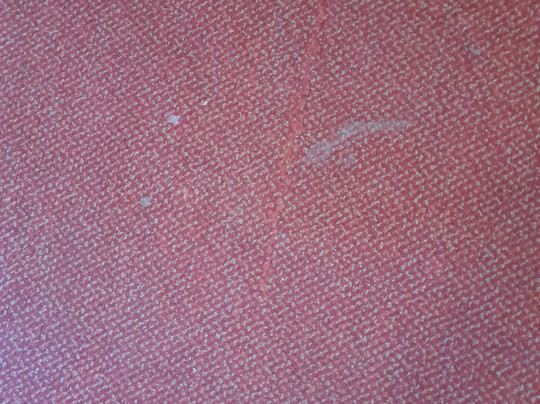 The Headland Hotel & Spa主图