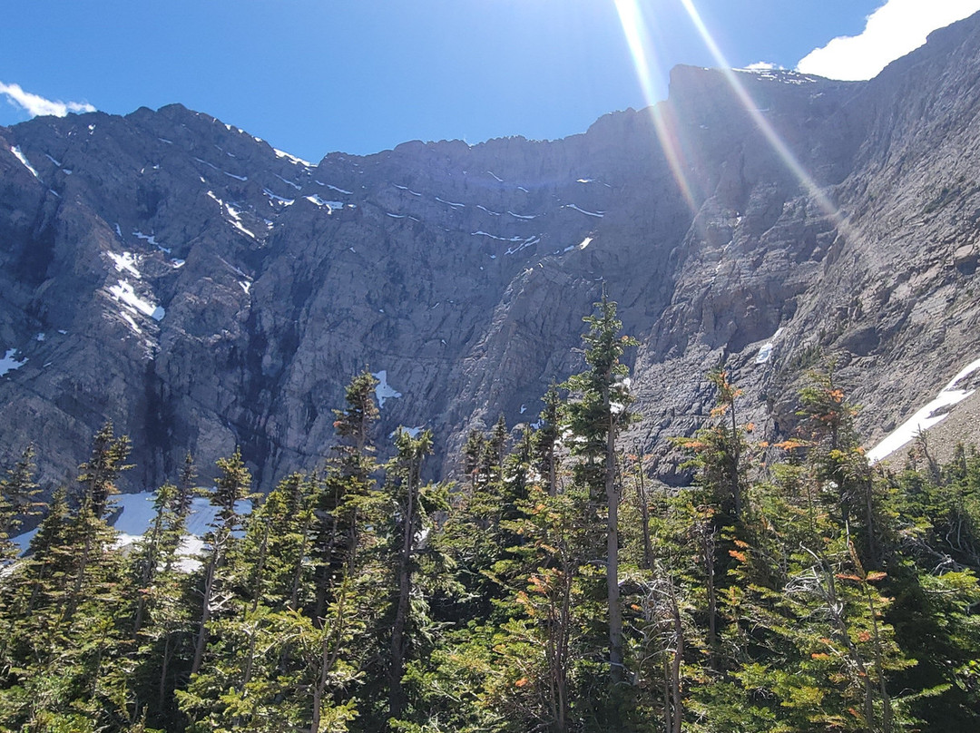 Tamarack Adventures景点图片