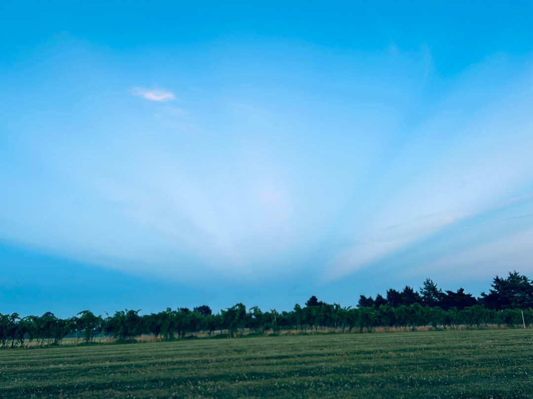 White Mule Winery-Owensville必去景点