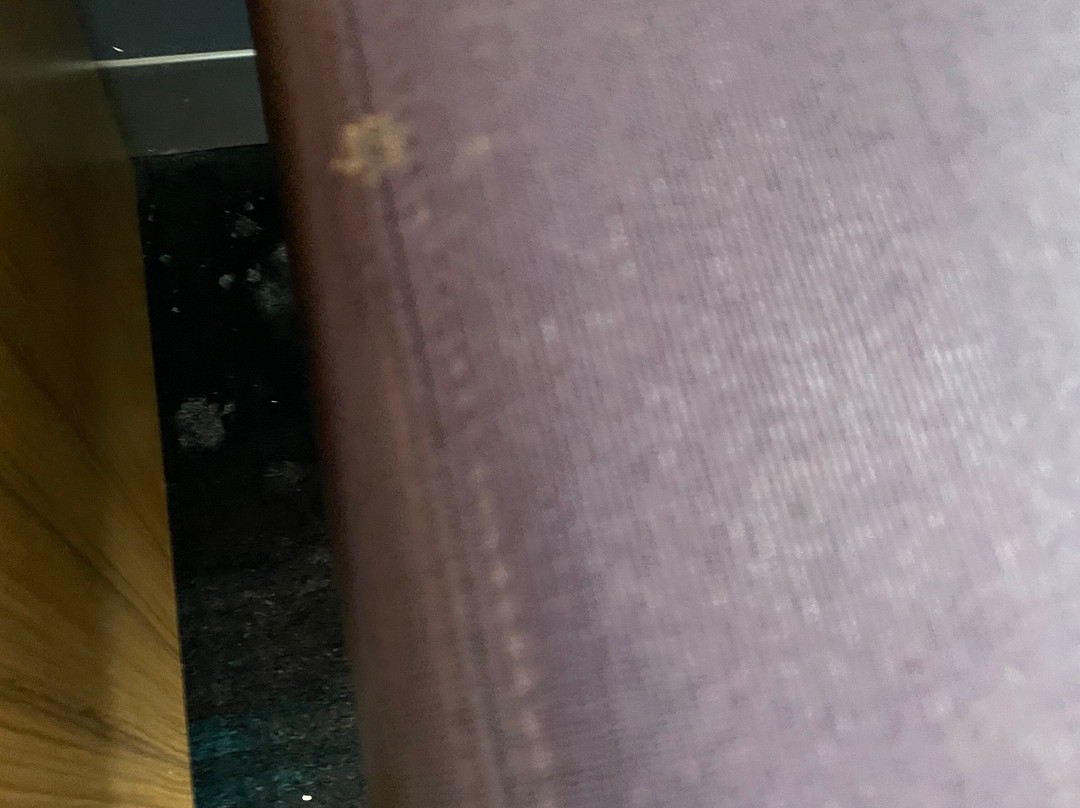 柏林布鲁克雅乐轩酒店主图