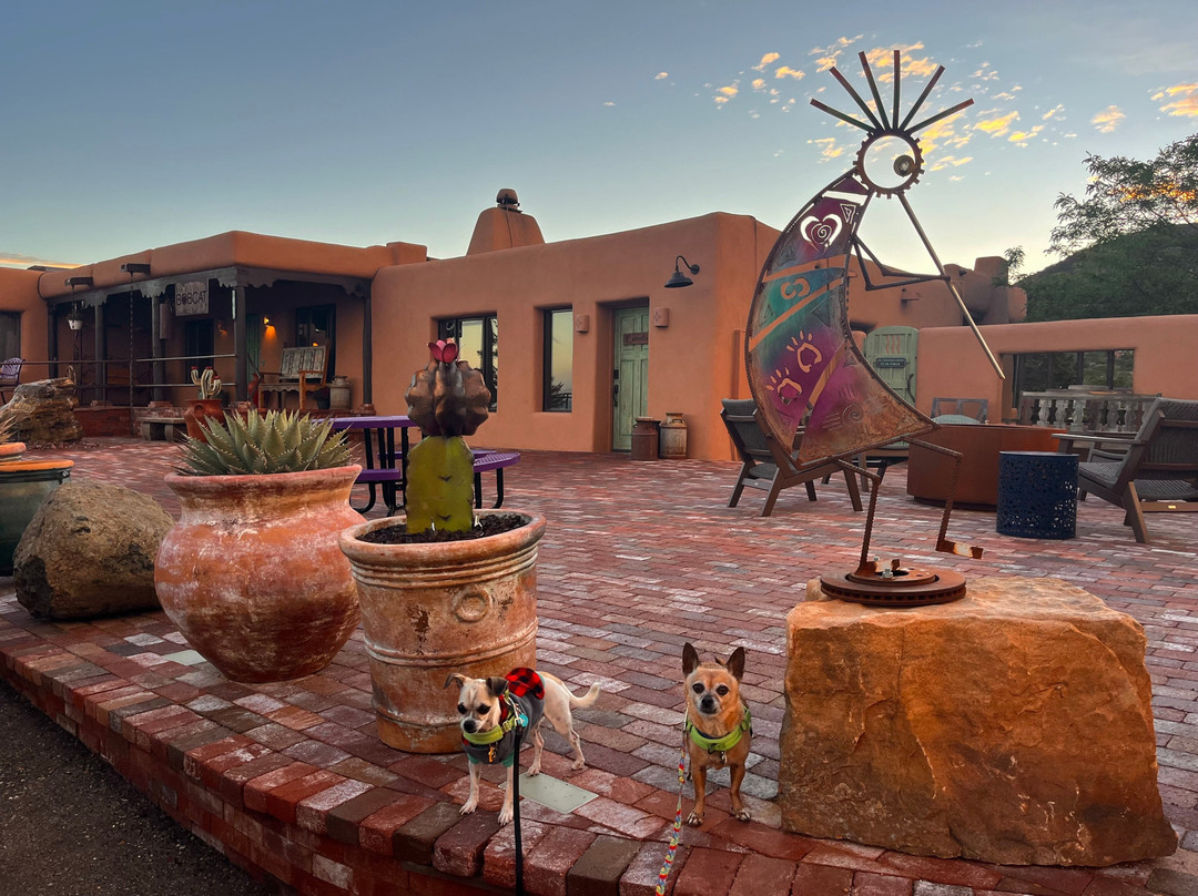 The Bobcat Inn主图