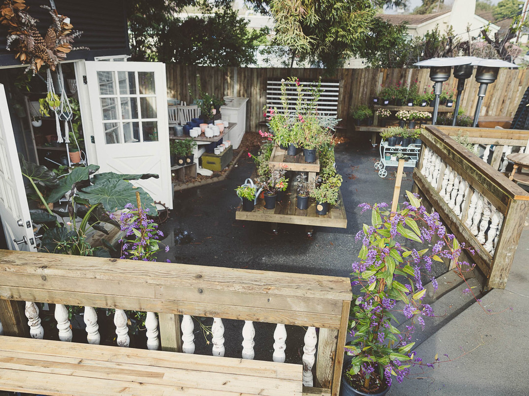 Salvage Hut-Soquel必去景点