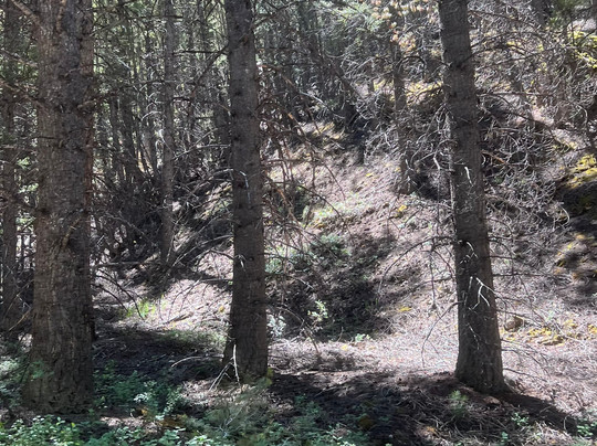 White Knob Motel & RV Park主图