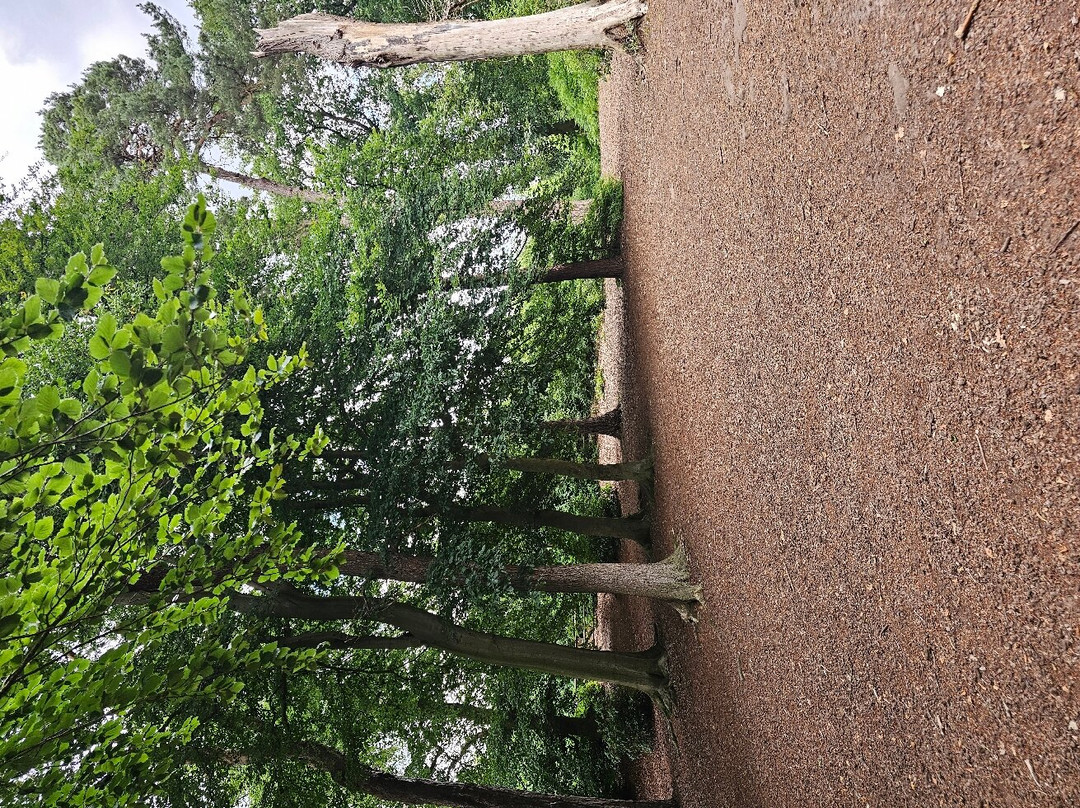 Nesscliffe Country Park-Nesscliffe必去景点