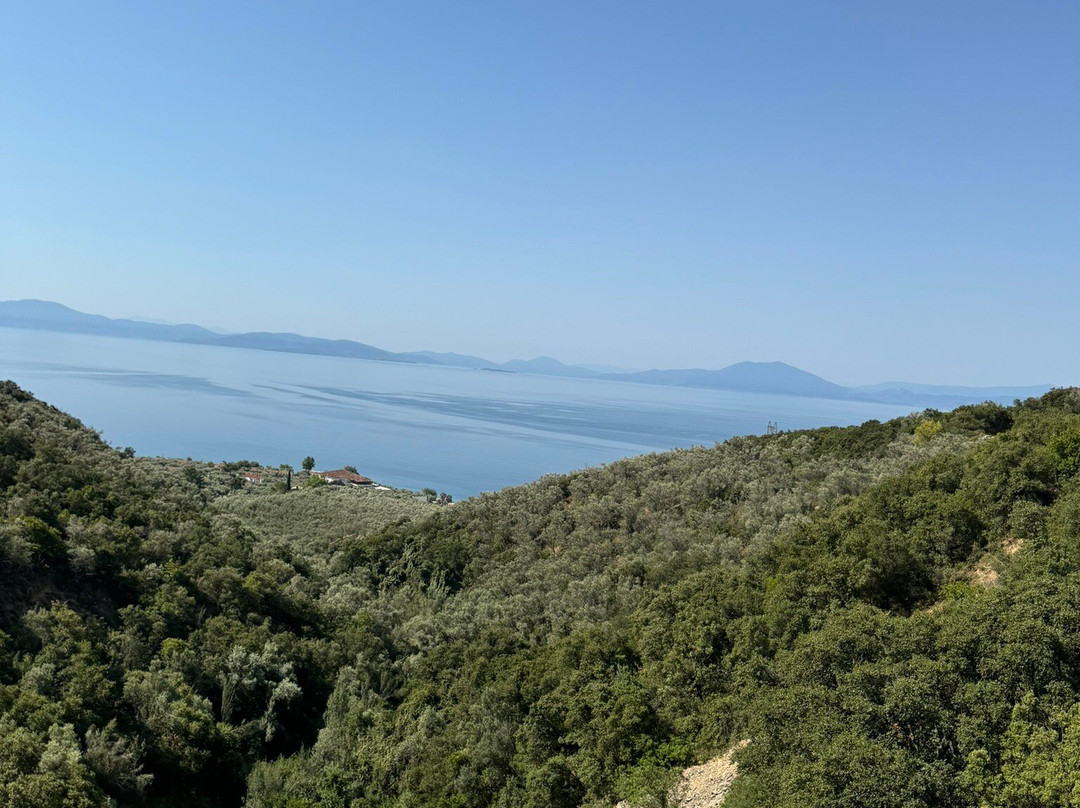 Pelion Railway景点图片