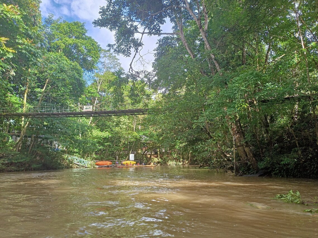 Mulu National Park主图