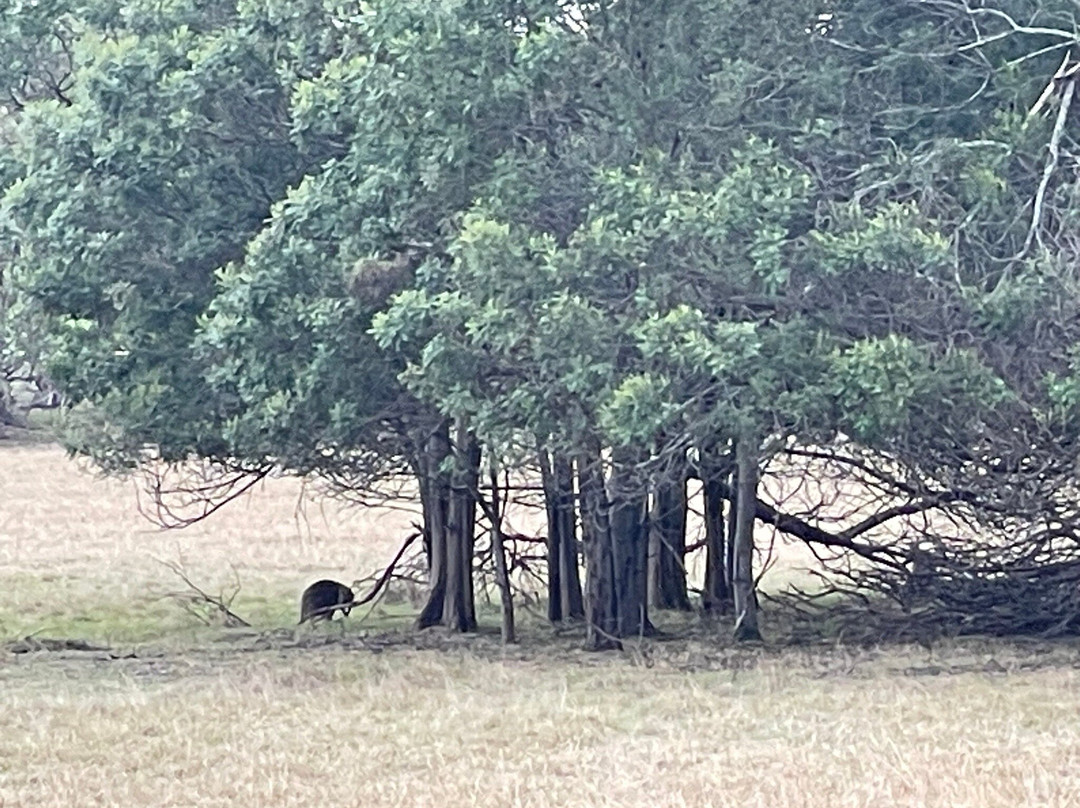 Woodland Picnic Area景点图片