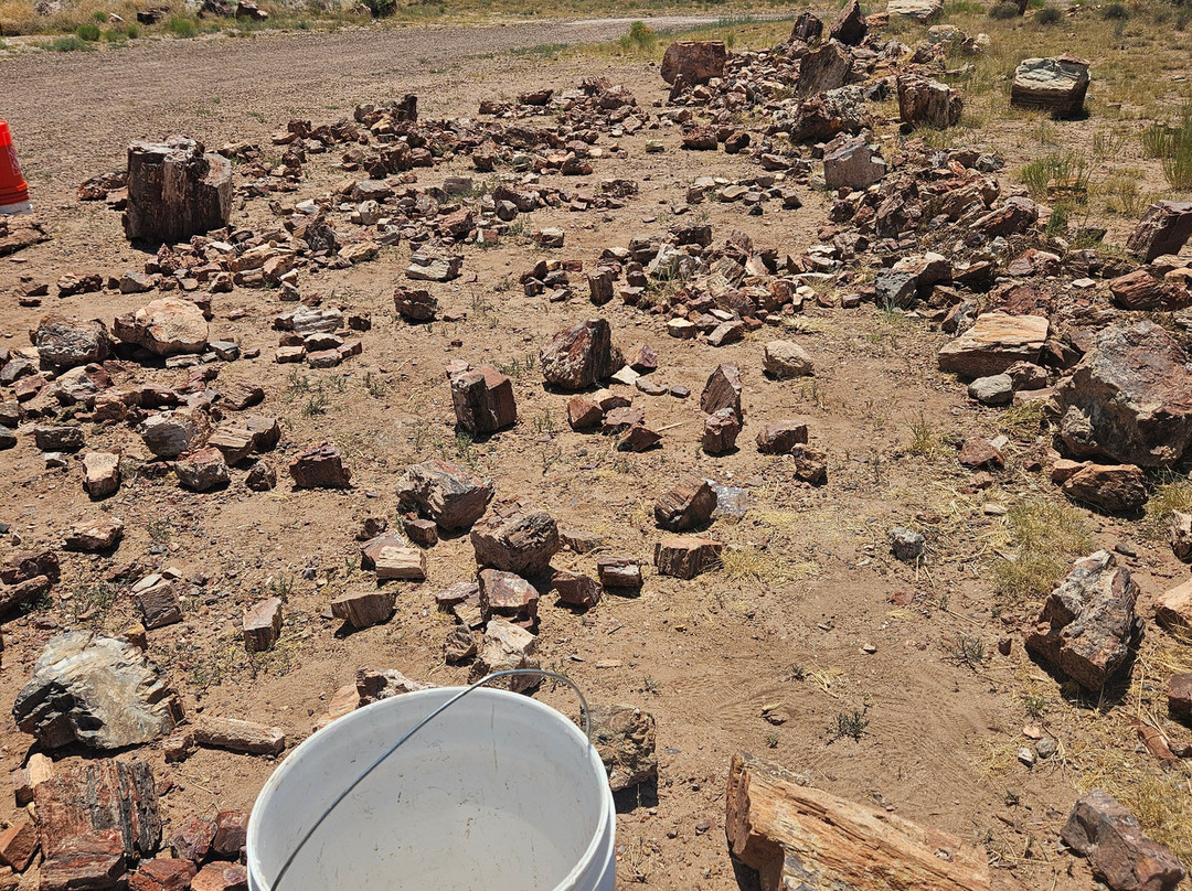 DoBell Ranch-霍尔布鲁克必去景点