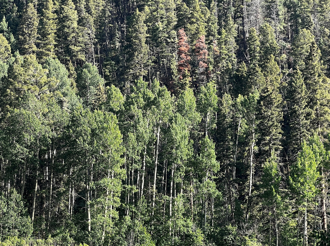 Rockin’ 3M Amphitheater-红河必去景点