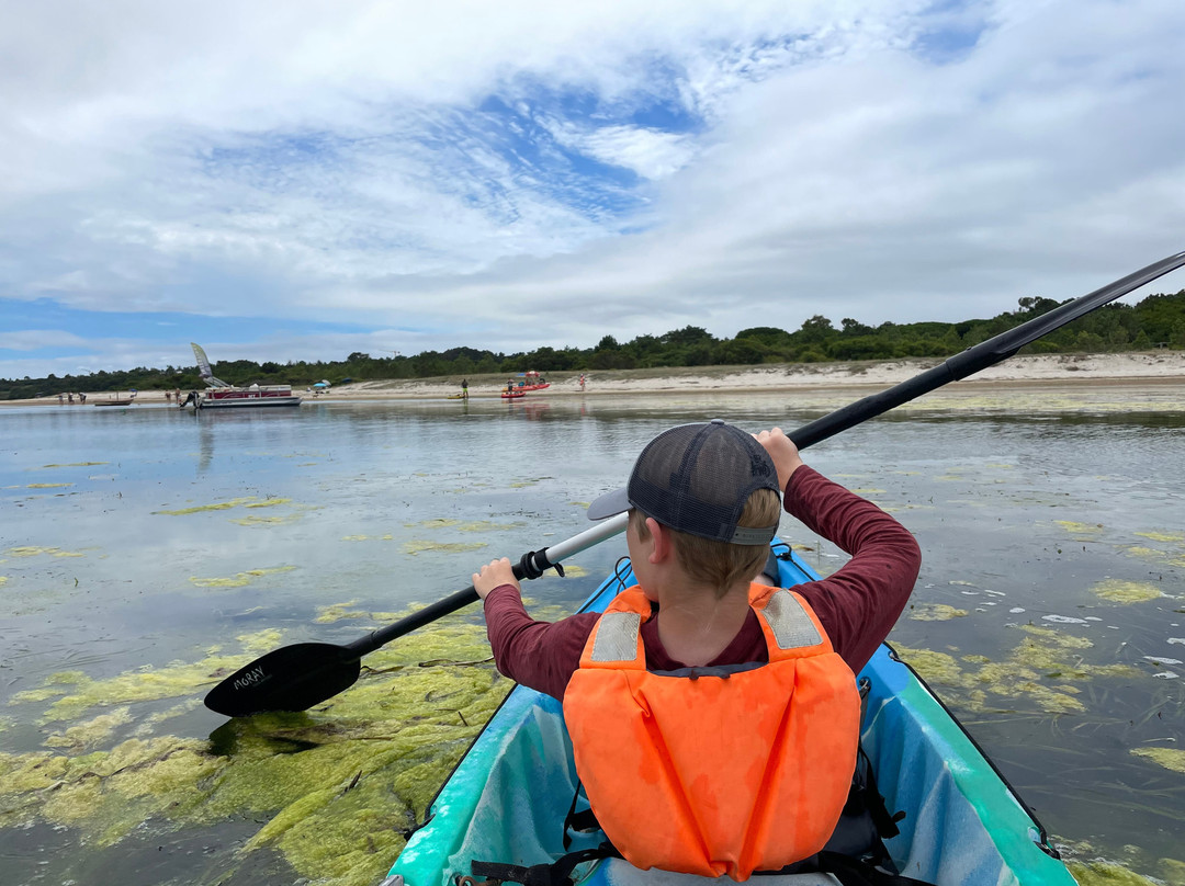 Intertidal - Natureza & Aventura - Outdoor Experiences景点图片
