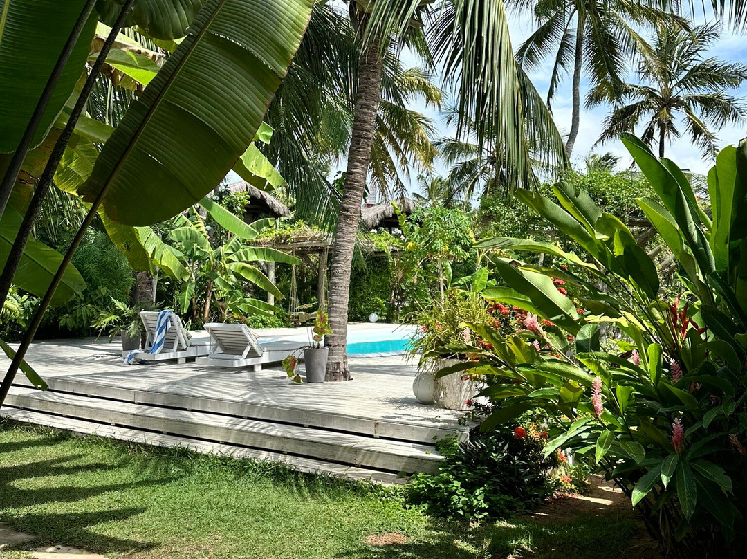 Pousada Pais Tropical主图