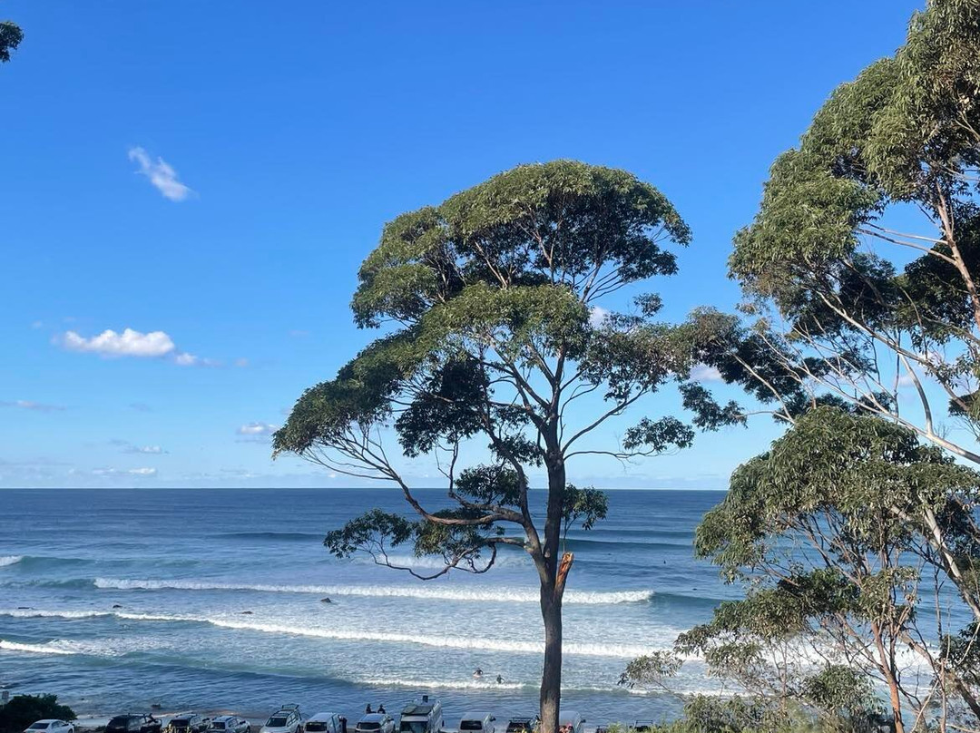 Mollymook Beach Waterfront主图