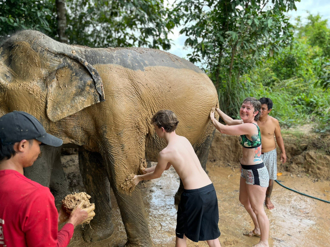 Cambodia Wildlife Sanctuary景点图片
