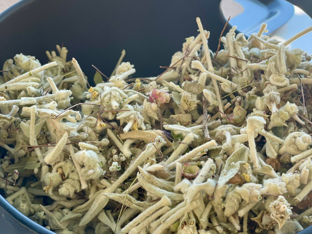 Melipap Apiary-Polemarchi必去景点