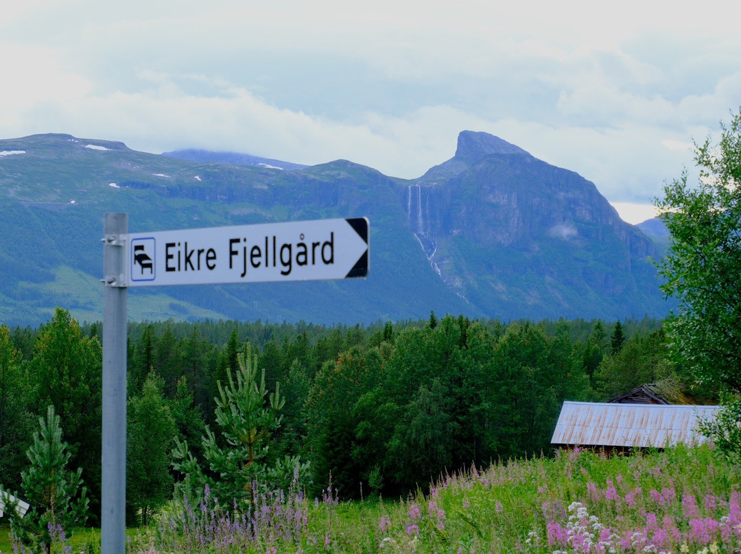 Hemsedal酒店住宿-Eikre Fjellgård