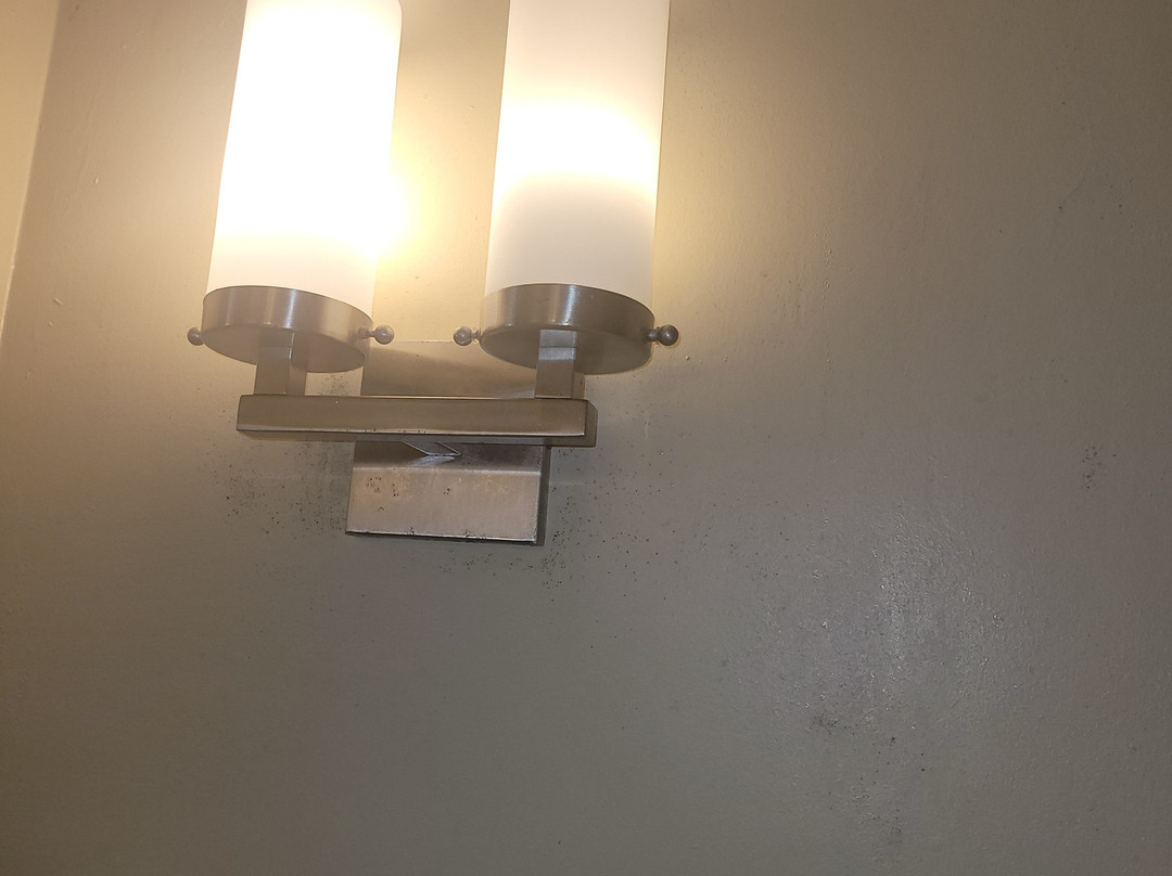 北坦帕希尔顿花园酒店主图