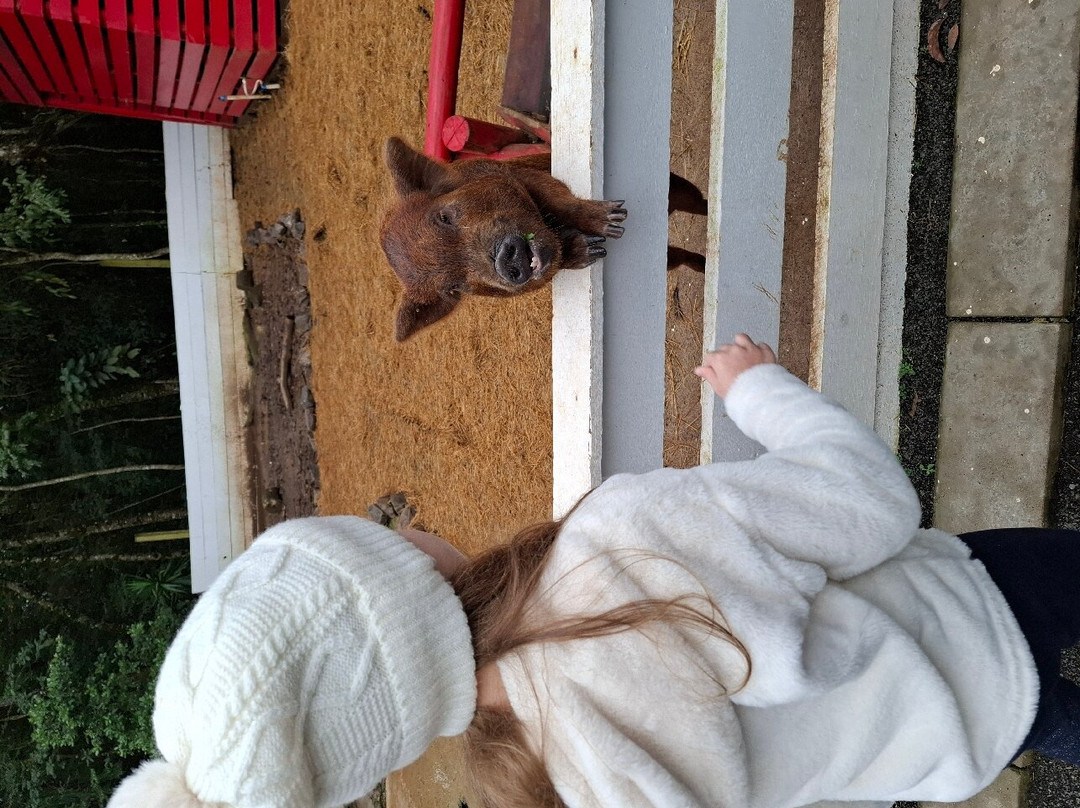 Foz Eco Park Zoo-伊瓜苏必去景点