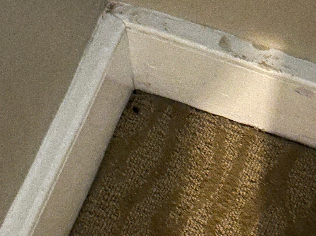 Mill House Inn主图