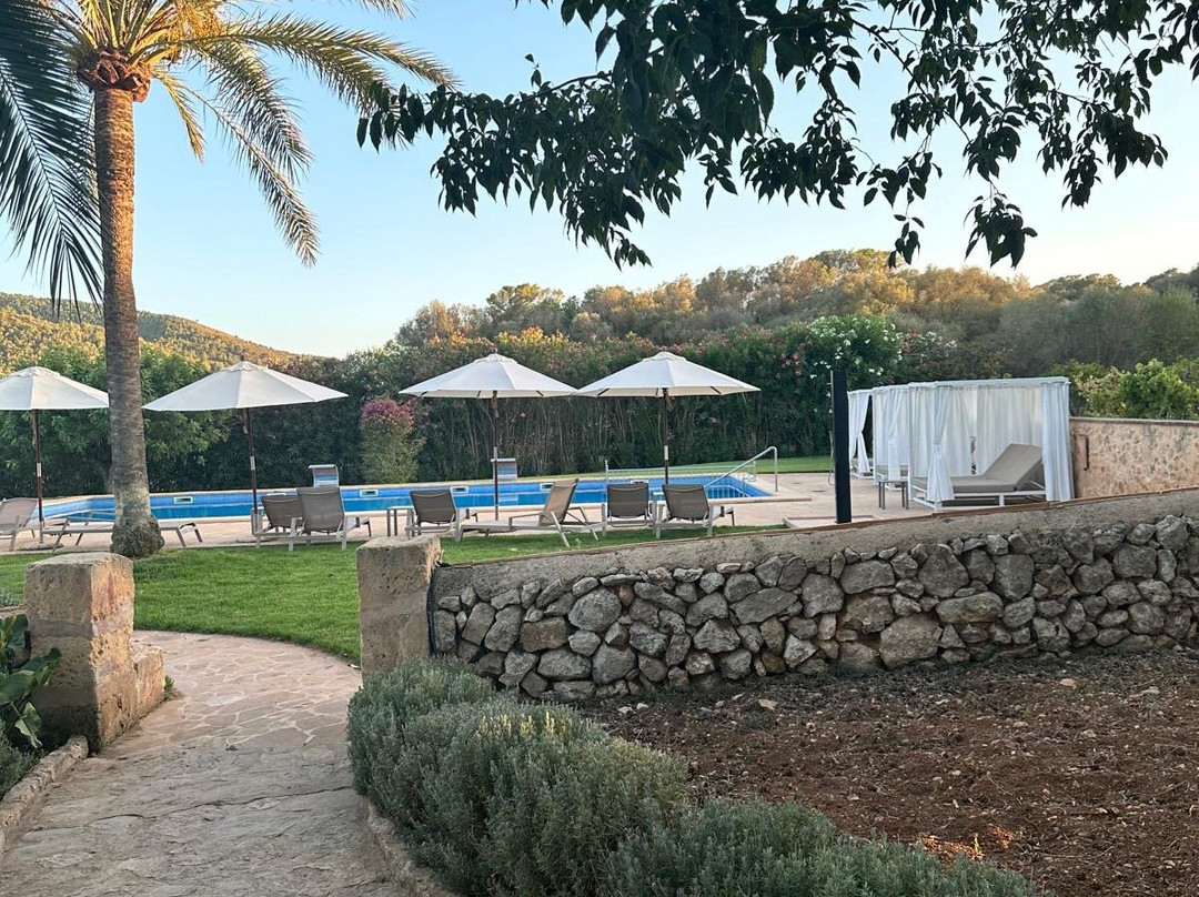 Principal Son Amoixa主图