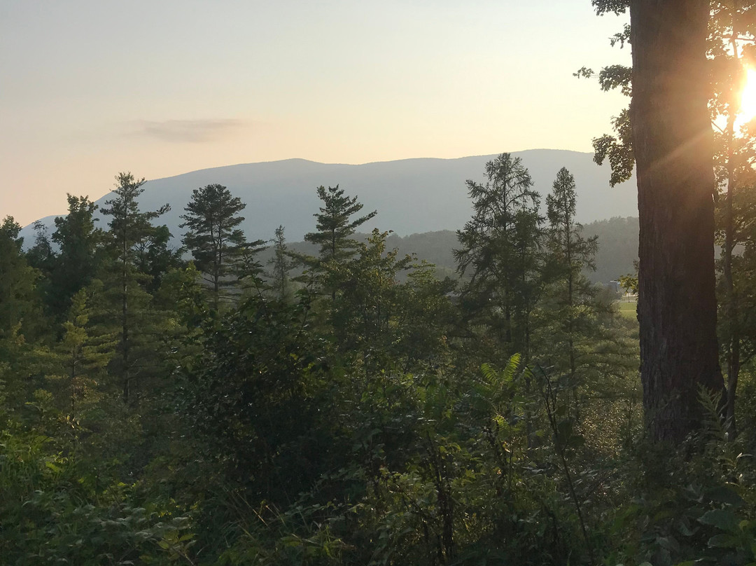 Aspen at Manchester主图