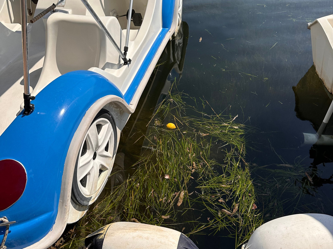 Argostoli Lagoon Activities-阿尔戈斯托利翁必去景点