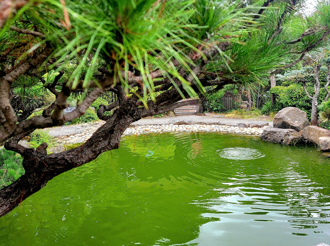 Hayward Japanese Gardens-海沃德必去景点