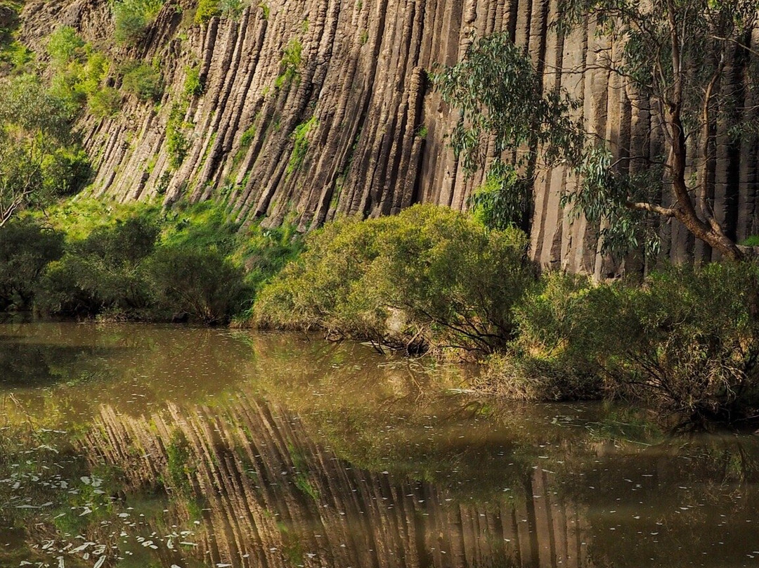 Organ Pipes National Park-凯乐尔必去景点
