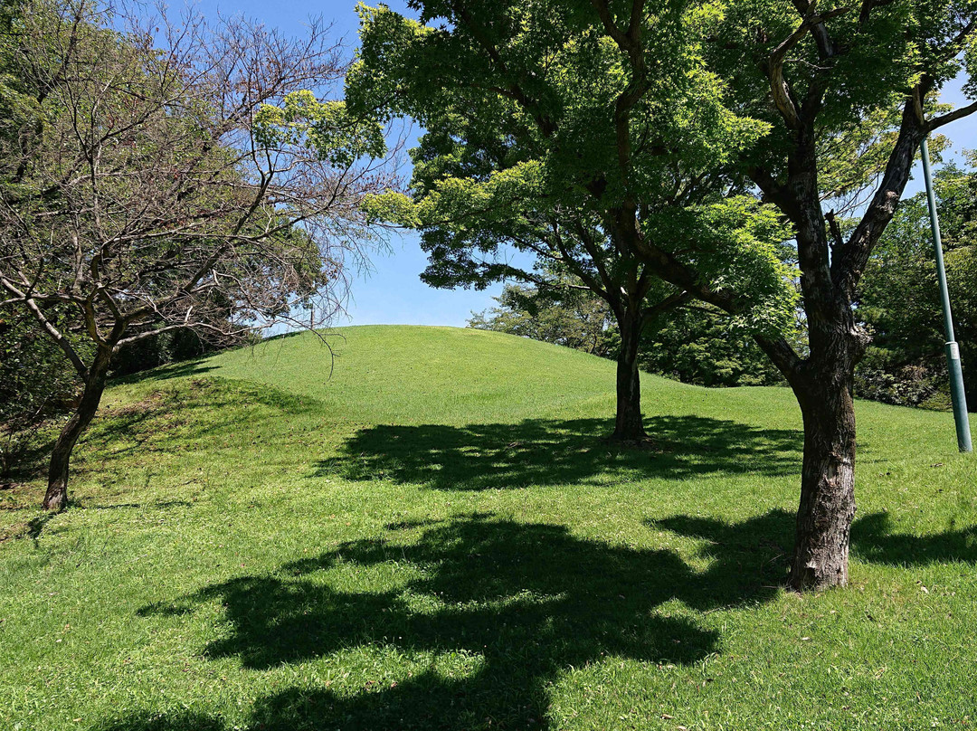 Ashikaga Park-足利市必去景点