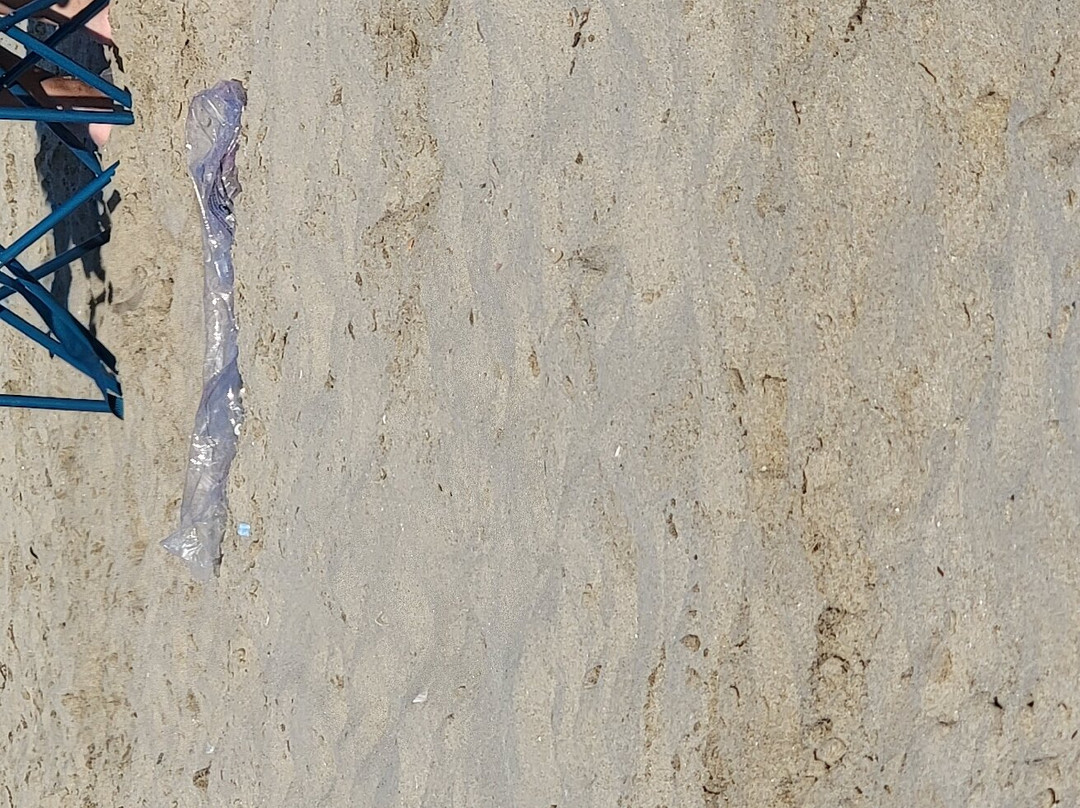 Plage De L’hotel De Ville