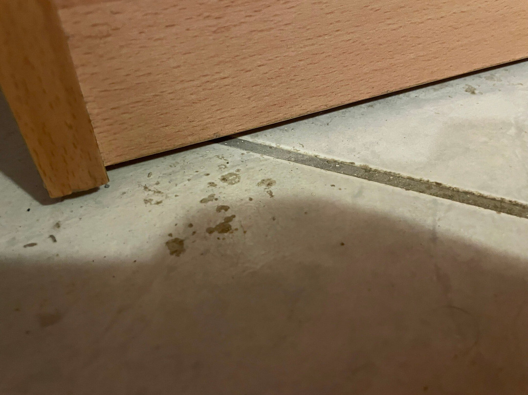 George & Dawn Hotel主图