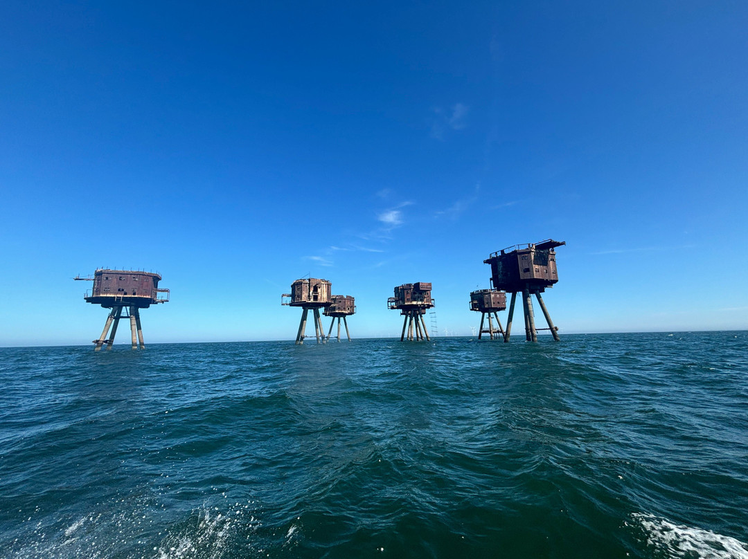 Whitstable Boat Tours-惠茨特布尔必去景点