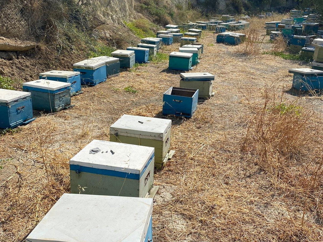 Kokkiadis Honey Farm-Athanati必去景点