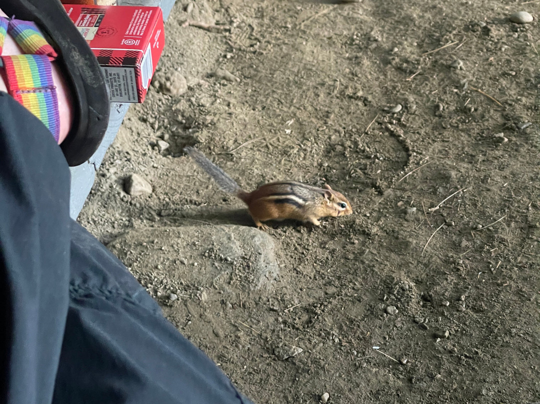 Little River State Park-沃特伯里必去景点