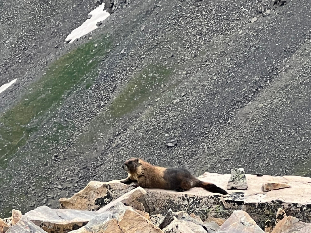 Mount Elbert-Leadville必去景点