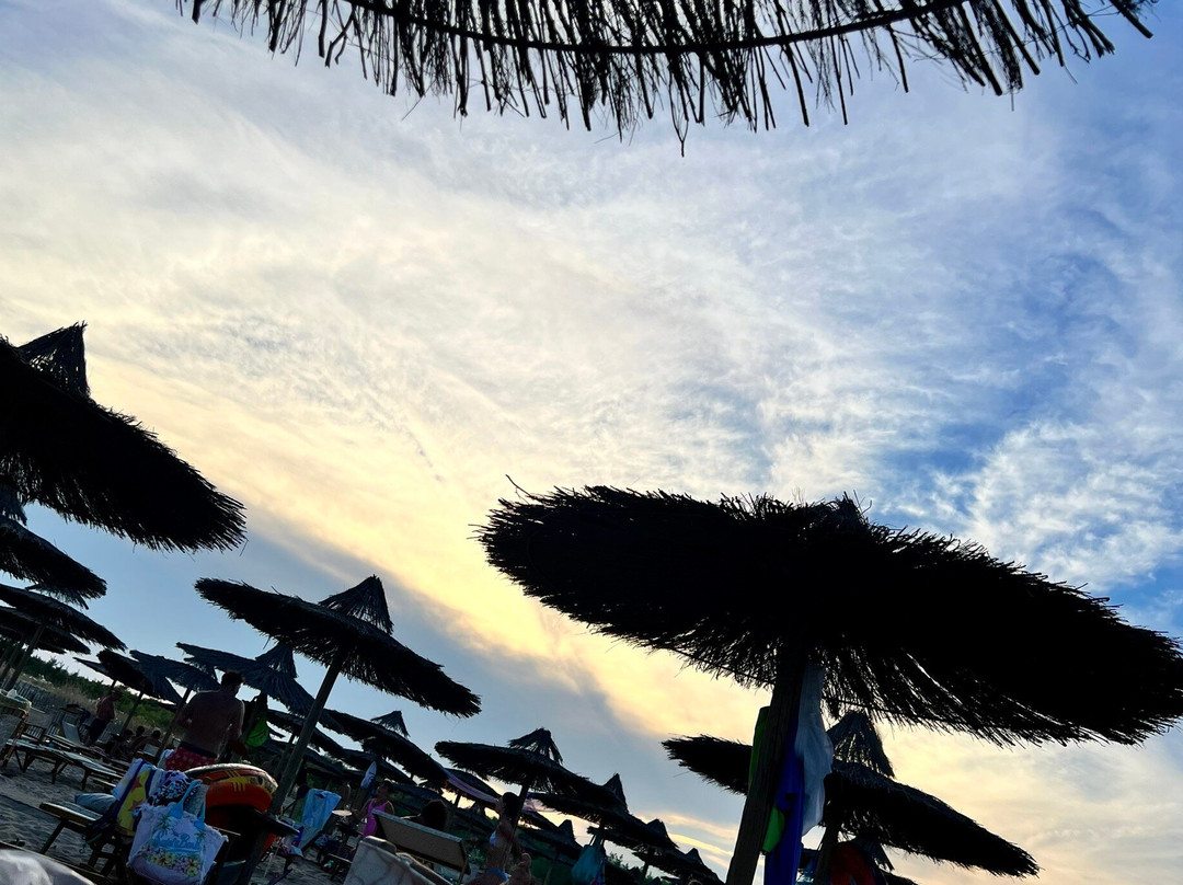 Lido Zanzibar景点图片