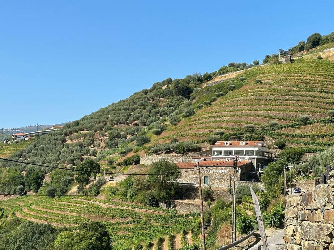 Oporto Road Trips景点图片