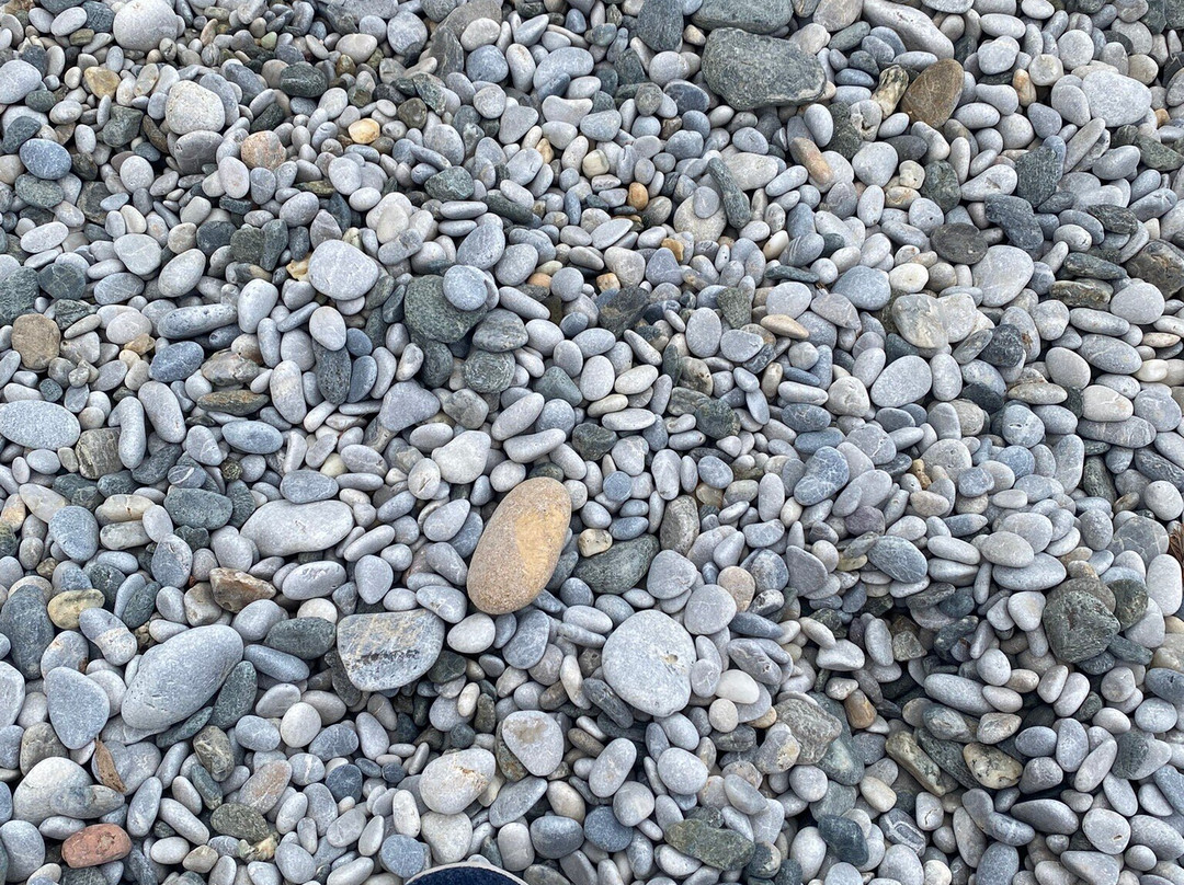 Myrties Beach-Myrties必去景点