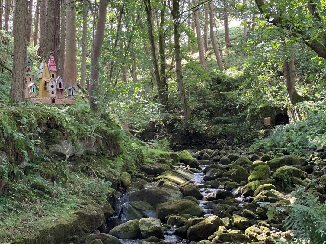 Studfold Adventure Trail景点图片