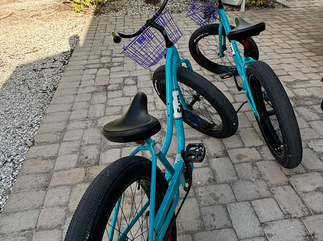 Lazy Turtle Beach Rentals-安娜玛丽亚岛必去景点