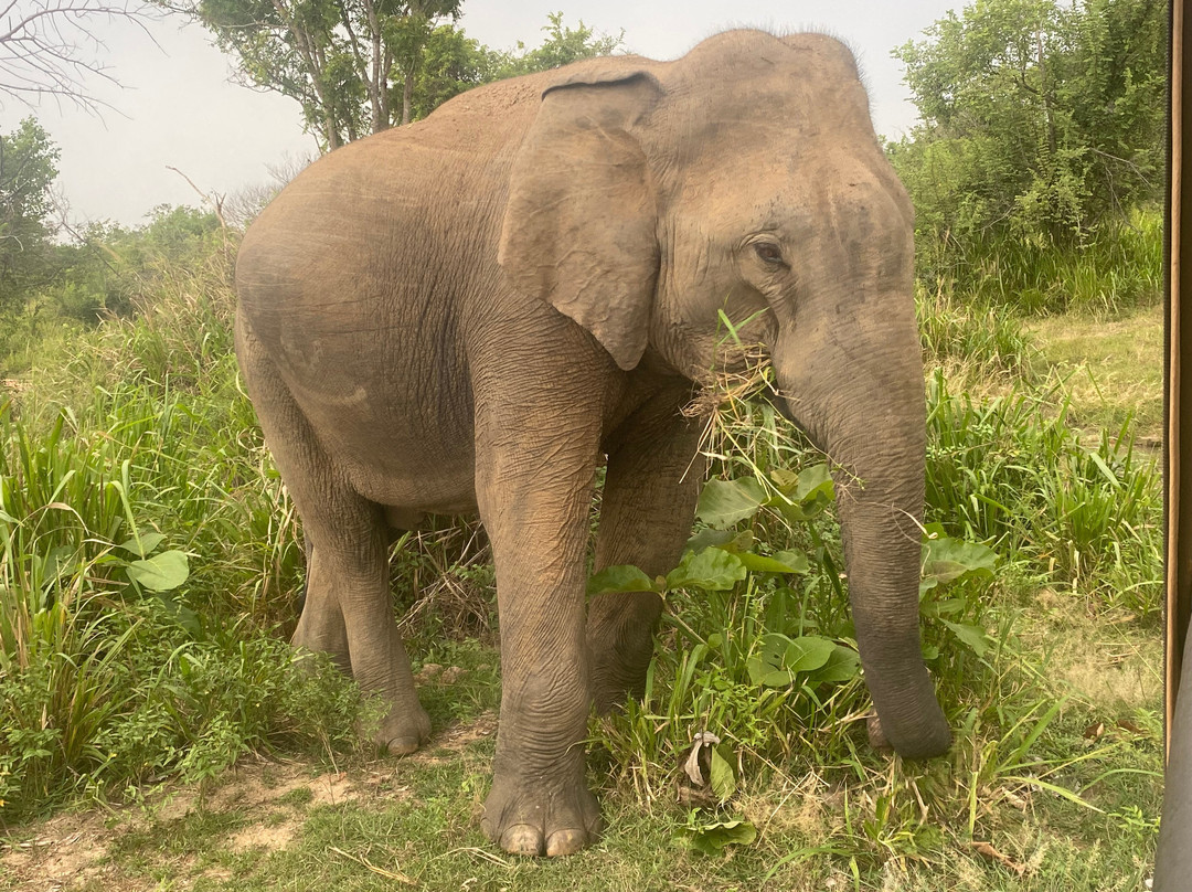 Priyavimana Resort主图