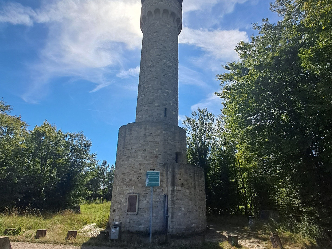 Wartbergturm景点图片
