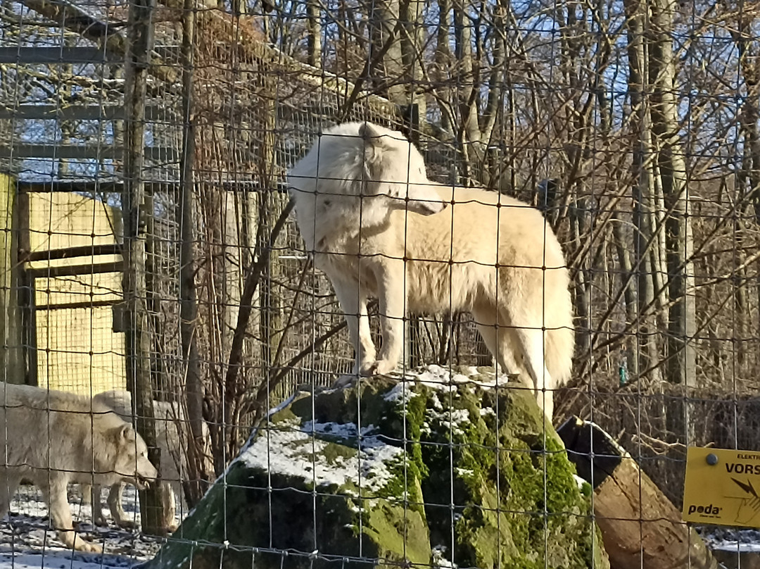 Zoo Osnabrück-奥斯纳布吕克必去景点