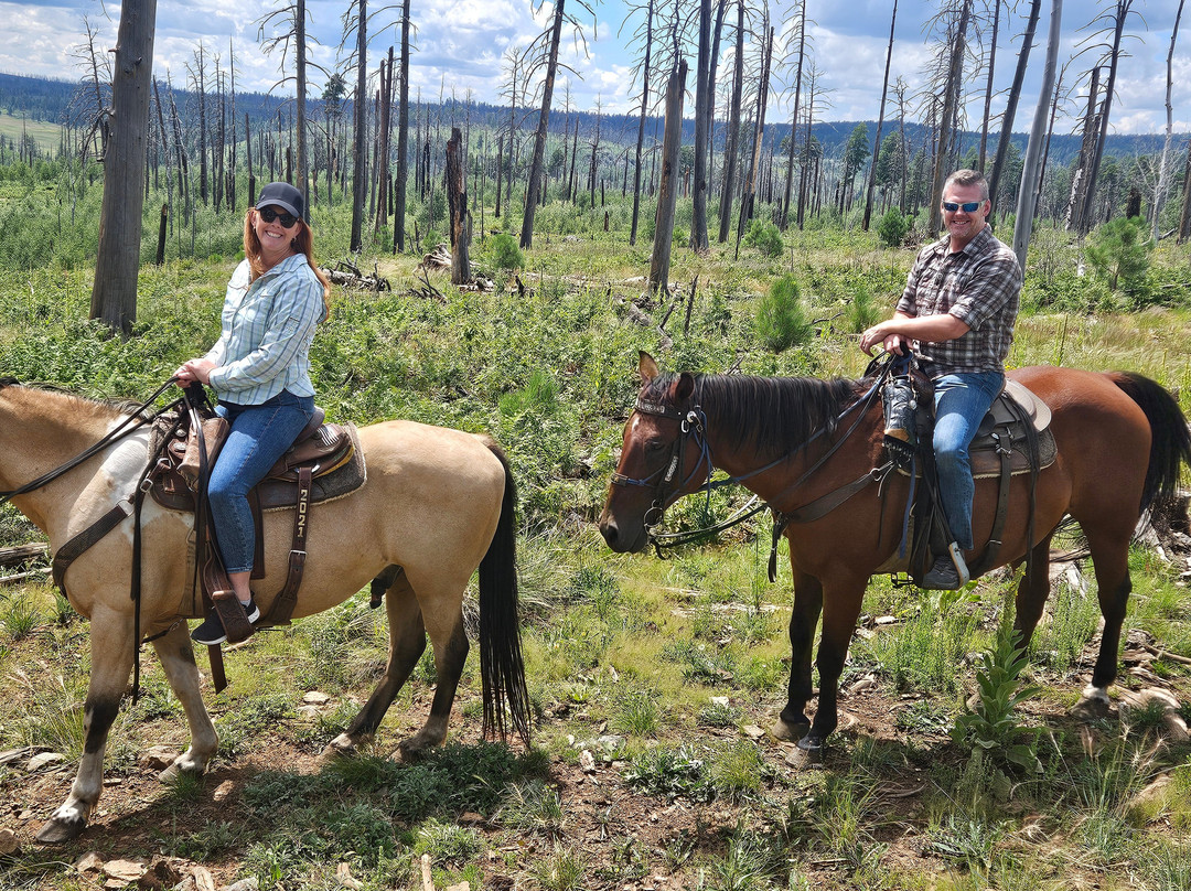 Greer By Horseback